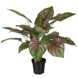 Faux Caladium Plante verte factice H 40 cm D 50 cm en pot 