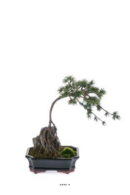 Faux bonsaï, style pin, en pot céramique noir H 40 cm