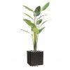 Arbre du Voyageur Artificiel Palmier en pot H 220 cm