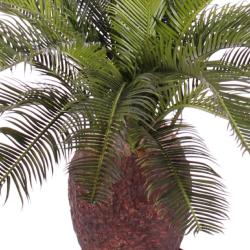 Cycas Artificiel Palmier en pot H 70 cm