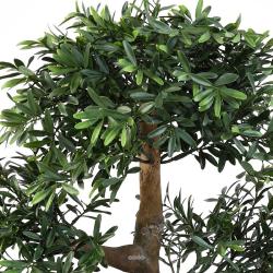 Bonsaï Saule Noir Artificiel H 70 cm D 60 cm en pot