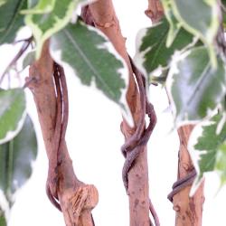 Ficus Exotique Artificiel multitroncs naturels en pot H 180 cm Blanc-vert