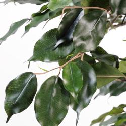 Ficus Exotique Artificiel Arbre en pot multitroncs naturels H 210 cm