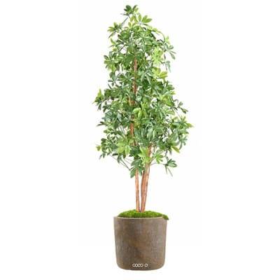 Faux Choisya en pot anti-UV extérieur H 150 cm Vert