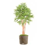 Faux Eucalyptus en pot ext  multri-troncs H 150 cm Vert