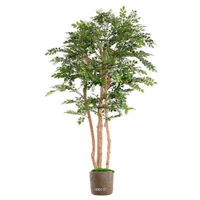 Acacia artificiel eco 4 troncs Naturels en pot H 200 cm Vert