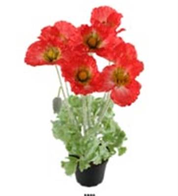 Fleurs Pavot Artificiel Rouge en pot H 45 cm