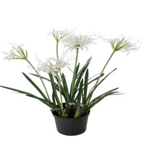 Fleurs de Nérine artificielles en pot, H 80 cm, 5 têtes