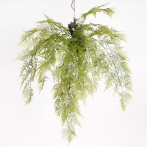 Fausse fougère plumosus en suspension, D 100 cm et L 110 cm