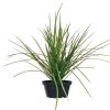 Herbe en plastique touffe artificielle en pot H 40 cm D 45 cm dense et aerienne