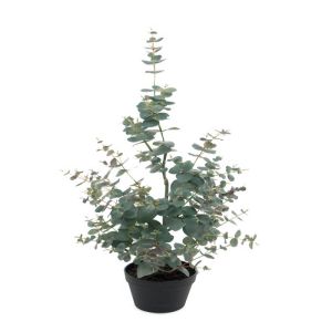 Fausse plante, Eucalyptus artificiel H 95 cm D 16 cm