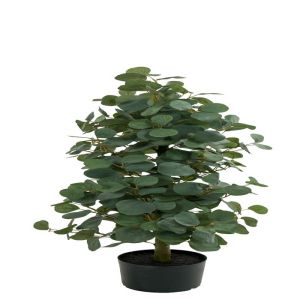 Eucalyptus artificiel en pot, D 33 cm, H 100 cm