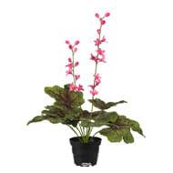 Heuchera sanguinea artificielle en pot, grand feuillage, H 45 cm, Rose soutenu