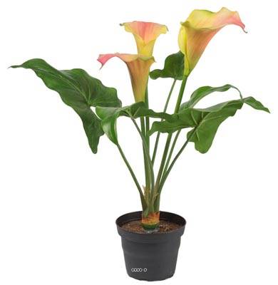 Fausse plante fleurie, Arum calla en pot, H 40 cm D 34 cm, Rose-orange