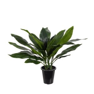  Aspidistra elatior, plante verte synthétique en pot H 75 cm, D 71 cm