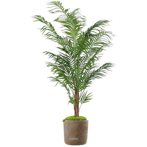 Areca Artificiel Palmier en pot H 180 cm sur tronc