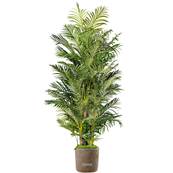 Areca Artificiel Palmier en pot H 220 cm 13 troncs