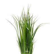 Fausse Herbe large factice en pot isolepsis artificiel H 80 cm D 30 cm Vert