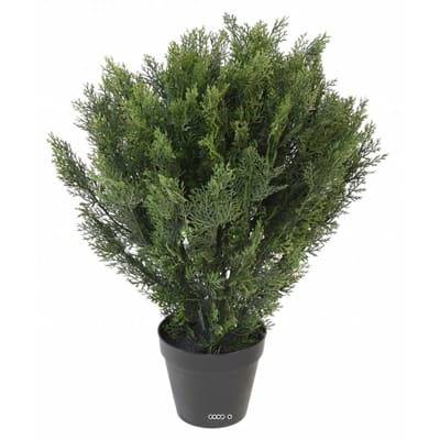 Faux Cyprès buisson en pot anti-UV pour extr H 75 cm Vert