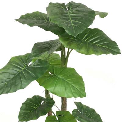 Faux Colocasia en pot H 150 cm 3 troncs
