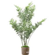 Faux arcea "Caryota" H140 en pot