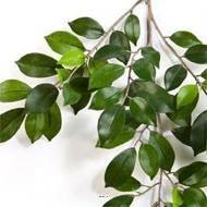 Branche de feuillage Ficus artificiel H 48 cm 64 feuilles vertes
