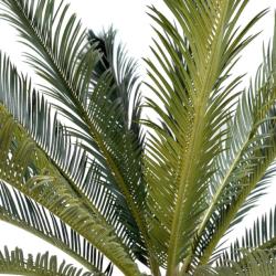 Palmier Cycas Artificiel en pot H 100 cm Vert