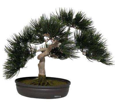 Angel Pinus Bonsaï Artificiel H 44 cm