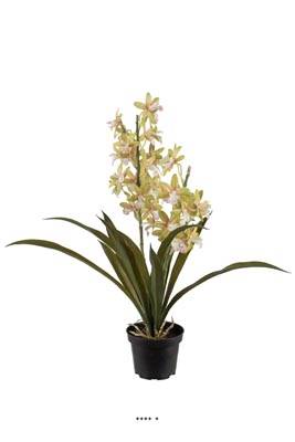 Fausse plante fleurie, Cymbidium crème vert, en pot H 45 cm