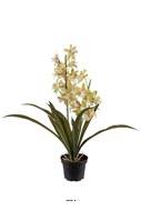 Fausse plante fleurie, Cymbidium crème vert, en pot H 45 cm