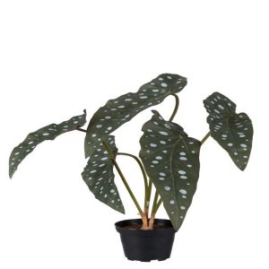 Fausse plante verte Tamaya artificiel en pot, H 35 cm