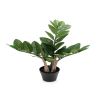 Plante ZZ artificielle en pot H 45 cm, D 40 cm