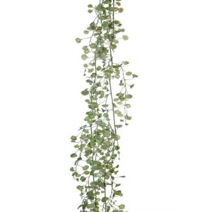 Guirlande de fausses feuilles de Ceropegia, blanc-vert, L 150 cm