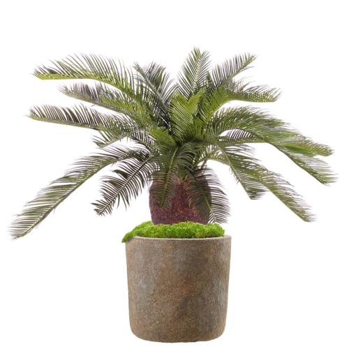 Cycas Palmier Artificiel En Pot - Plante Décorative Intérieur/extérieur - Environ 67x70x70cm - Réaliste, Sans Entretien - 4