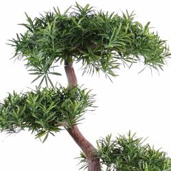 Bonsaï Podocarpus Artificiel H 100 cm D 70 cm en pot
