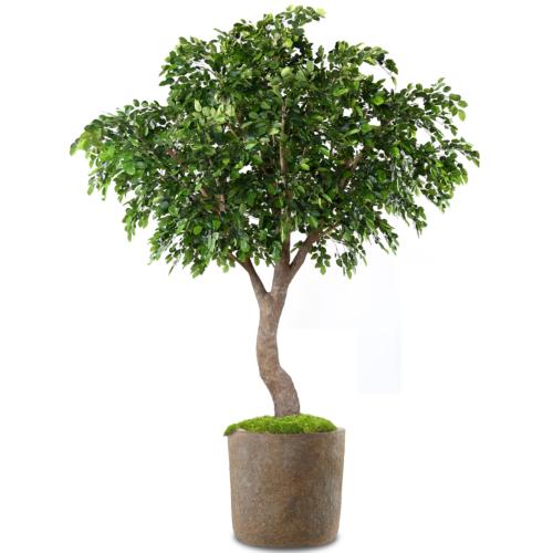 Hêtre Artificiel Arbre en pot Vert H 360 cm