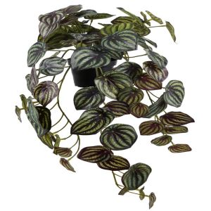 Peperomia artificiel en pot feuillage Panache Factice H 20 cm L 45 cm