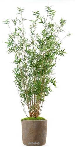 Bambou Oriental Artificiel en pot cannes fines H 100 cm