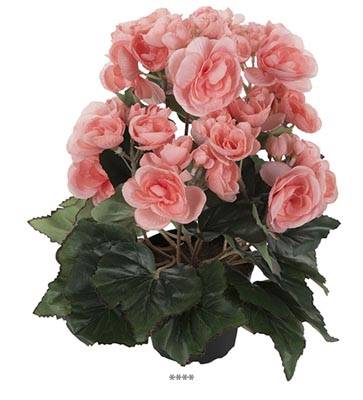 Fleurs Begonia Artificiels Rose tendre en pot H 28 cm