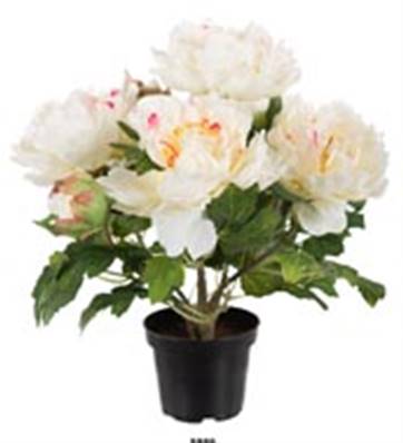 Fleurs Pivoines Artificielles Blanc Rose en pot H 35 cm
