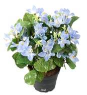 Fausse plante fleurie, Campanules artificielles en pot H 25 cm, Bleu ciel