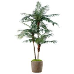 Phoenix Artificiel Palmier en pot H 250 cm 3 troncs