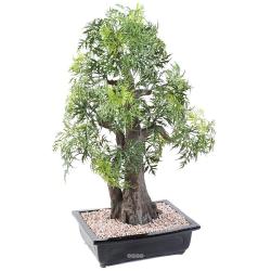 Bonsaï Aralia Artificiel H 80 cm D 50 cm en pot