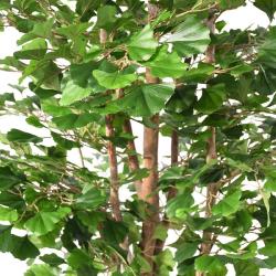 Gingko Artificiel Arbre en pot Troncs bois naturels H 180 cm