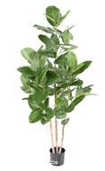 Ficus Artificiel Elastica tronc bois en pot