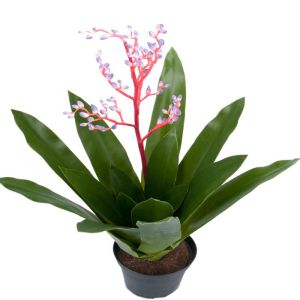 Fausse bromélia en pot avec pettis fleurons, H 40 cm