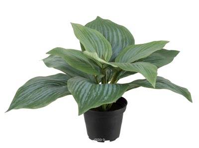 Hosta artificiel plante verte en pot H 20 cm D 30 cm Large feuille factices Vert