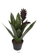 Fausse Bromélia en fleur, en pot, H 40 cm, Mauve violet