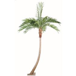 Coconut Artificiel Palmier sur platine H 400 cm