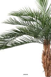 Phoenix Artificiel Palmier en pot H 220 cm Exterieur